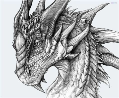 15 Easy How to Draw a Dragon Ideas