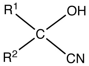 Cyanohydrin - Alchetron, The Free Social Encyclopedia