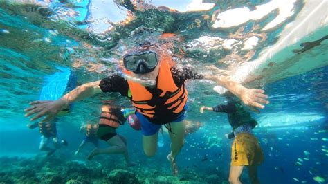 snorkeling at balicasag island - YouTube