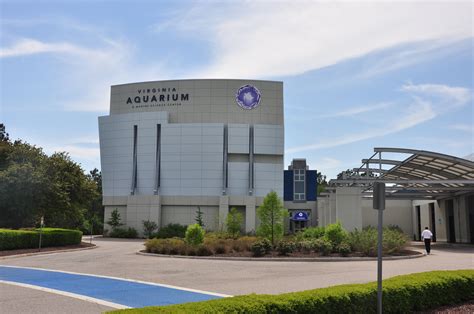 Virginia Beach Science Museum And Aquarium - Aquarium Views