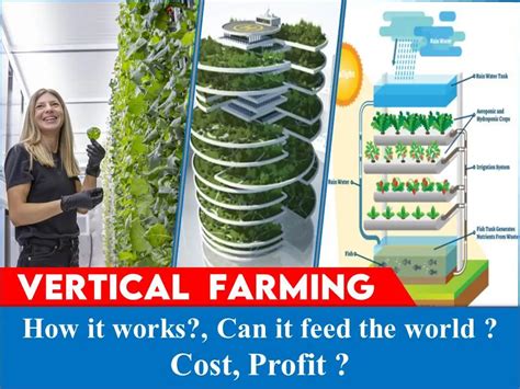 How Does Vertical Farming Work | Vertical Farming at Home