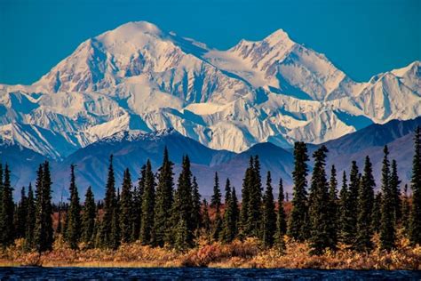 Things to do in Denali National Park: best attractions and tours