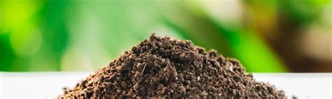 Groundbreaking Solutions: Unveiling Topsoil Suppliers Near Me | Topsoil.com