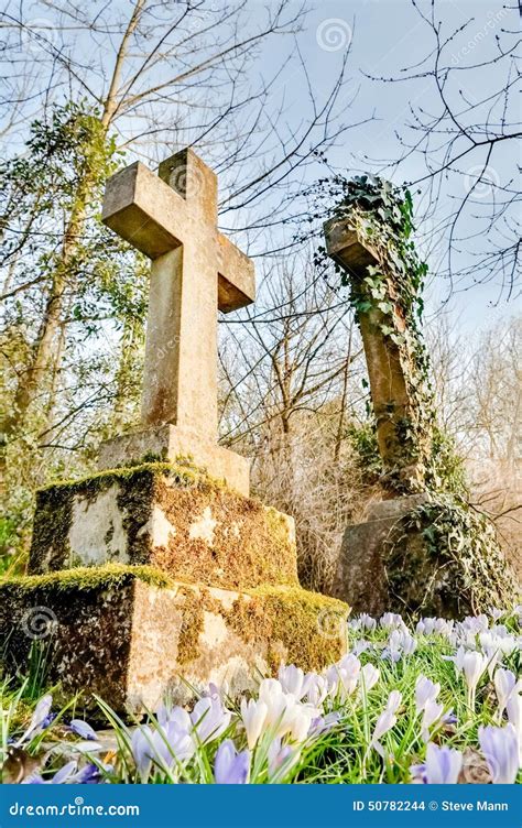 Flowers in a graveyard stock photo. Image of graveyard - 50782244