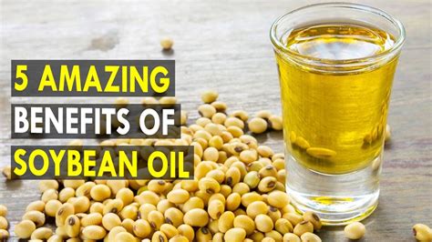 5 Amazing Benefits Of Soybean Oil - Health Sutra - Best Health Tips ...