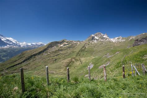 Switzerland 2014 – Hiking in Grindelwald – JSB Photography