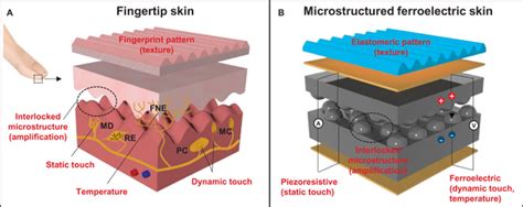 Artificial Skin Senses Touch|Health Tech Insider