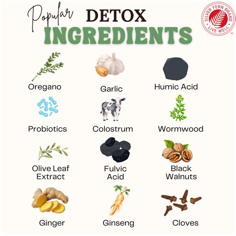 Popular Detox Ingredients - gut health, detox – Silver Fern™ Brand