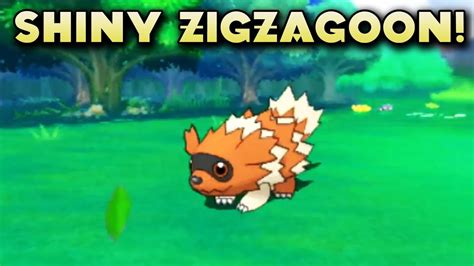 2 SHINY ZIGZAGOON IN ONE HORDE?!?! OMEGA RUBY - YouTube