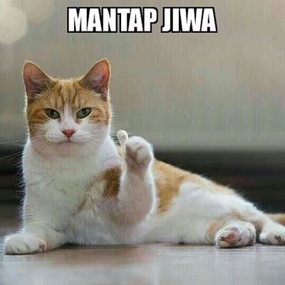 Mentahan Meme Kucing : Foto Mentahan Meme Lucu - Gambar Ngetrend dan ...