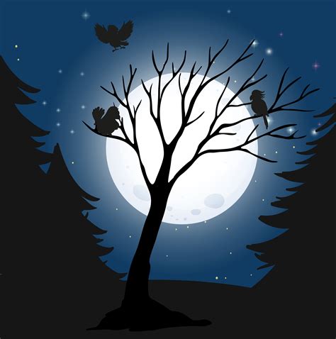 Silhouette Dark Night and Birds 360990 Vector Art at Vecteezy