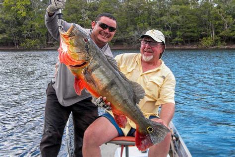 Peacock Bass Fishing Brazil At It's Best | Sportquest Holidays