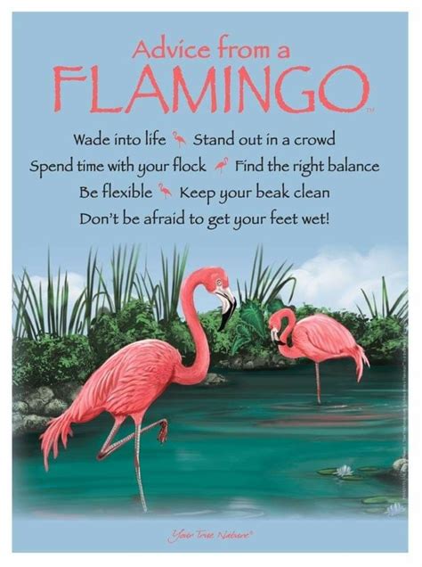 Pin by Margaret Ferguson on Florida | Flamingo pictures, Flamingo, Flamingo painting