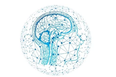 Helge Scherlund's eLearning News: AI and MRIs at birth can predict cognitive development at age ...