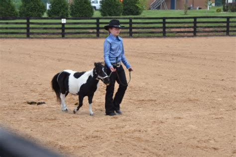 Horseback Riding Lessons | Jacobs Run Equestrian Center | United States