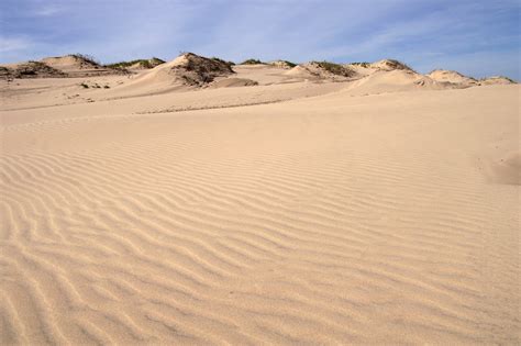 Texas Sand Dunes | South Padre Island, Texas | Stuart Seeger | Flickr