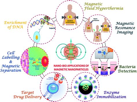 Role of functionalization: strategies to explore potential nano-bio applications of magnetic ...