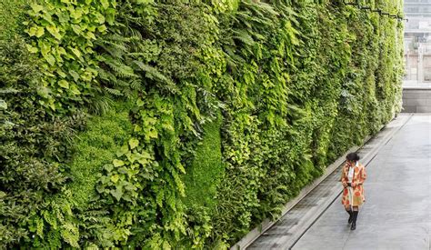 Image result for living wall panel | Green wall, Urban heat island, Green roof installation