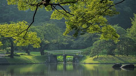 1920x1080px, 1080P free download | Green Landscape, forest, japan, bridge, japanese, green, park ...