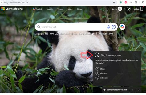 How to Play Bing Homepage Quiz - TechYorker