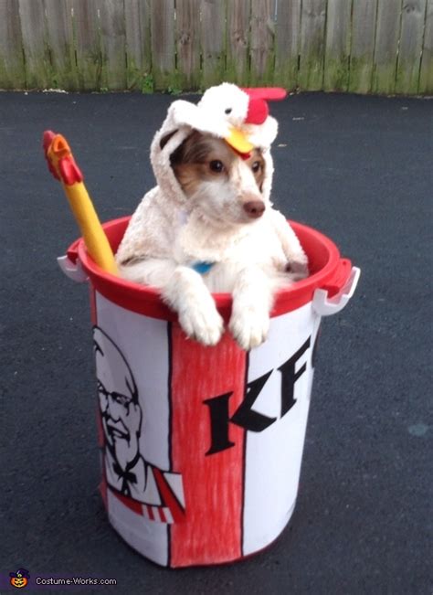 10 Hilarious Dog Costumes You Can Make On a Budget