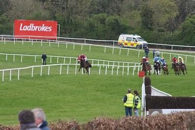 Naas Racecourse Guide, Course Map & Major Races | BettingSites.co