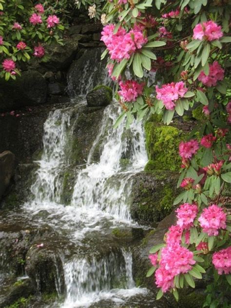 26 Amazing Garden Waterfall Ideas - Style Motivation