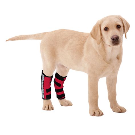 Dog Hock Ligament Wrap Brace Post Surgery Injury