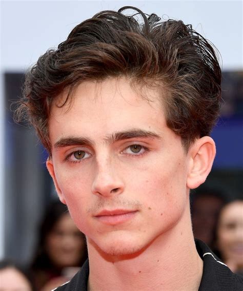 Timothée Chalamet's Hair Is Evolving Faster Than His Career | Mens ...