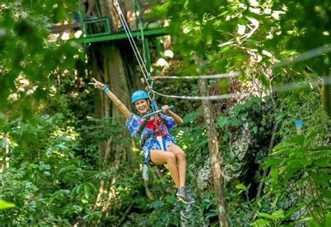 Mystic Mountain Zipline Tour #IslandTripsJA | Jamaica excursions ...