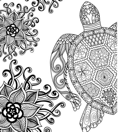 Adult Coloring Pages Turtle at GetColorings.com | Free printable colorings pages to print and color