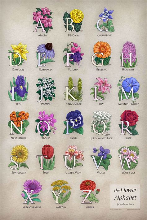 An Alphabet of Flowers on Behance