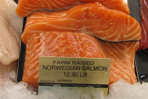 Farm-Raised Salmon vs Wild Salmon - Difference and Comparison | Diffen