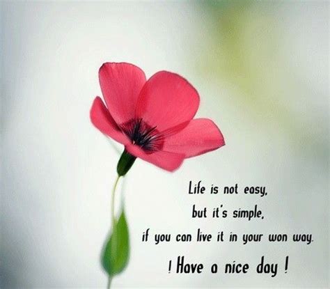 have_a_nice_day_quotes7 | Good morning quotes, Good day quotes, Good ...