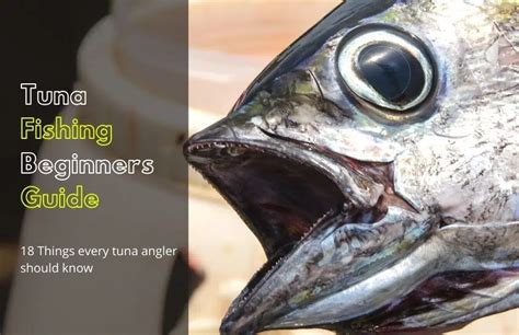 Tuna Fishing Tips: 21+ Things every tuna angler (Should know)