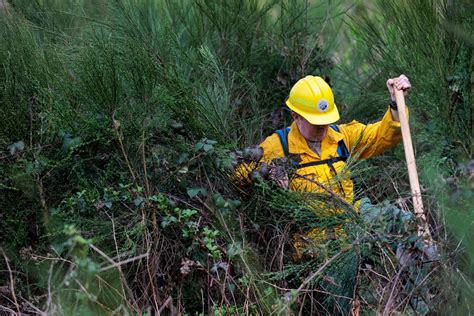 DVIDS - Images - Washington National Guard preps for 2023 wildfire ...