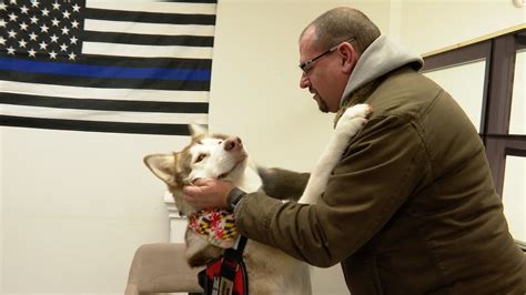 Victory Service Dogs helps local veterans by training animals