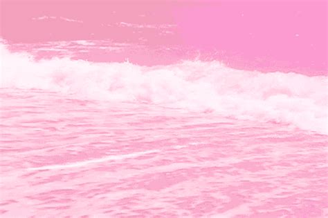 Seaaor Pink GIFs - Find & Share on GIPHY