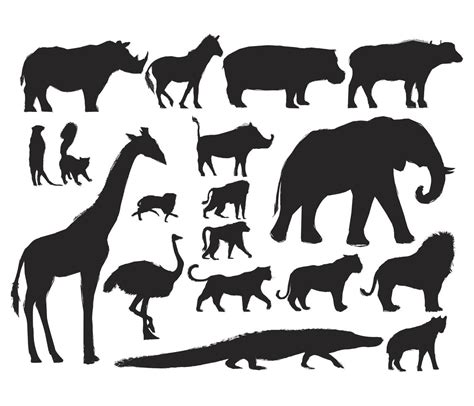 Animals Illustration Vector Art Set - Download Free Vectors, Clipart Graphics & Vector Art