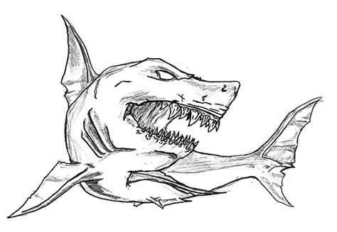 Great White Shark Outline Drawing at PaintingValley.com | Explore ...