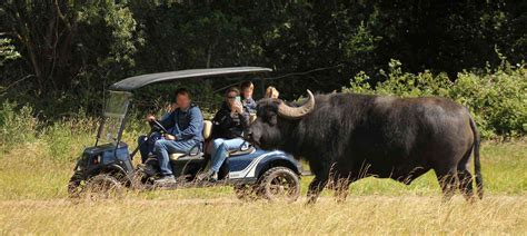 Watatunga Wildlife Reserve Tour