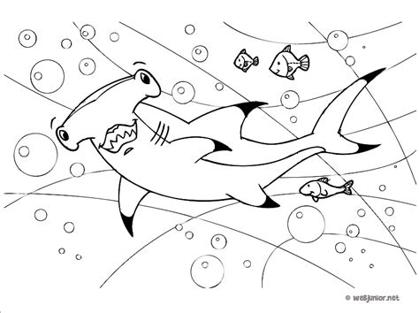 Requin-marteau : coloriage Animaux gratuit sur Webjunior