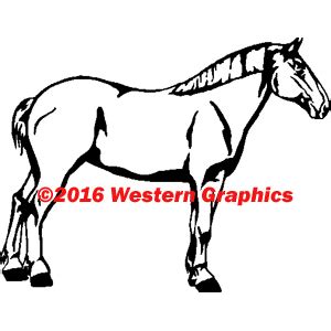 Draft Horse – Style #152 – Western Graphics