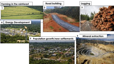 Living World – 7 Causes of deforestation in the Amazon rainforest – CLF Online Learning