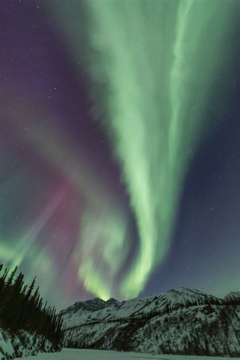 Winter arctic alaska and northern lights photography tour – Artofit