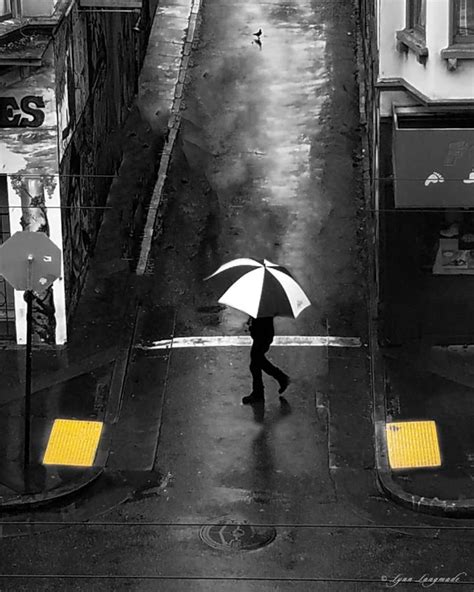 Rainy Day Photography Yellow Umbrella Wall Art 16x20 Street Photograpy 11x14 Black and White Pop ...