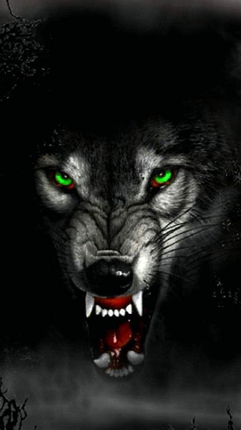 Angry Wolf Wallpapers - Top Free Angry Wolf Backgrounds - WallpaperAccess