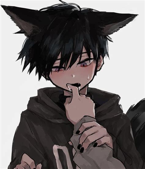 Catboy Anime Profile Picture - melaniereber