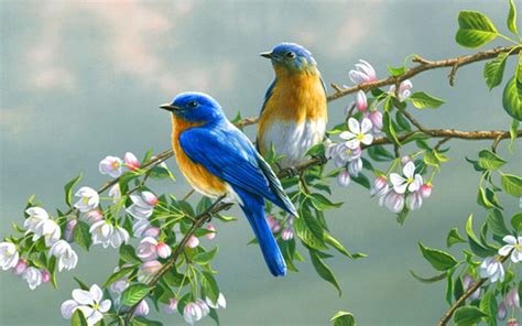 Spring Flowers and Birds Wallpapers - Top Free Spring Flowers and Birds Backgrounds ...