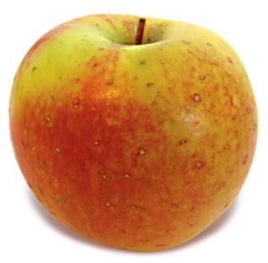 GoldRush - New England Apples